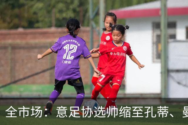 全市场：意足协选帅缩至孔蒂、曼奇尼