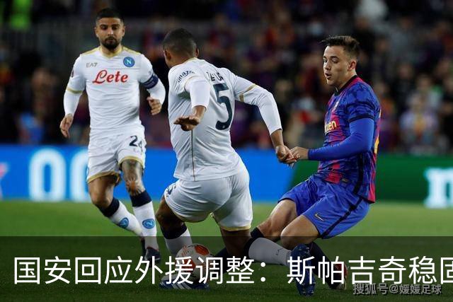 国安回应外援调整：斯帕吉奇稳固后防 引进新援只用48小时